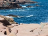 Acadia