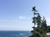 Acadia