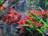 Mooie tuin