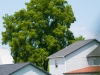 De meeste huizen zien er spik en span uit
