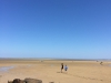 Brewster Cape Cod