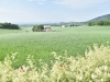 DSC_0065
