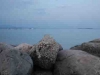 Garda