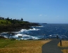 Little Blowhole
