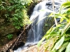 In het regenwoud een waterval en het pad ernaar toe vol met Malay die gingen eten