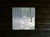 Door het avonturenpark
