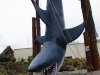 Jaws!