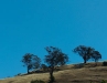 Uitzicht vanaf camping Gundagai