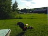 BBQ aansteken