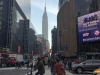 Madison Square Garden