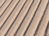 's Ochtends een schoon geharkt strand