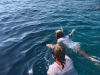Snorkelen in het diepe