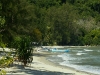 Monkey Beach