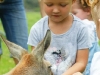 Wat een leuke kangaroe