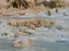 Kalkhoudend water