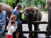 En toch ook schattig