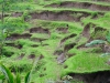 Mensgemaakt landschap