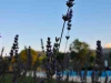 Lavendel uitzicht