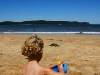 Strand Ocean Beach, Umina